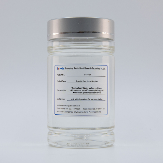 Acrilato Funcional Especial B-6020